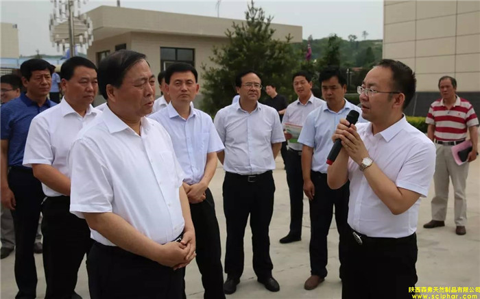 省委常委、省委統(tǒng)戰(zhàn)部部長(zhǎng)、副省長(zhǎng)姜鋒蒞臨森弗產(chǎn)業(yè)園調(diào)研大健康產(chǎn)業(yè)發(fā)展情況