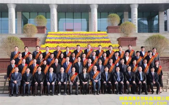 陜西森弗被評(píng)為“商洛市優(yōu)秀民營(yíng)企業(yè)”，董事長(zhǎng)金新康榮獲“商洛市優(yōu)秀民營(yíng)企業(yè)家”稱號(hào)