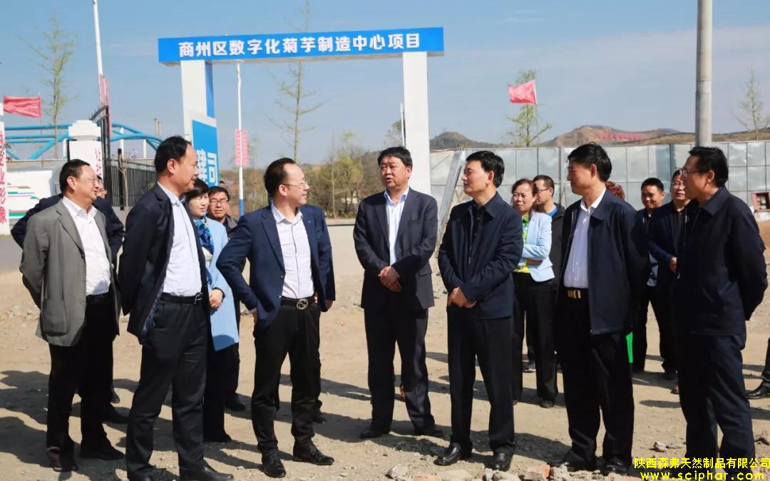 商洛市委副書(shū)記、市長(zhǎng)鄭光照檢查商州區(qū)菊芋制造中心項(xiàng)目工作
