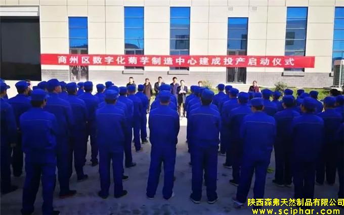 熱烈祝賀全國最大的數(shù)字化益生元（菊芋）制造中心在商州建成投產(chǎn)