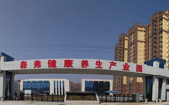 陜西森弗集團董事長金新康緊抓精準(zhǔn)扶貧